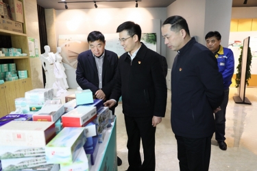 领导调研 | 平湖市委副书记、代市长周军波一行莅临澳门太阳成城调研交流