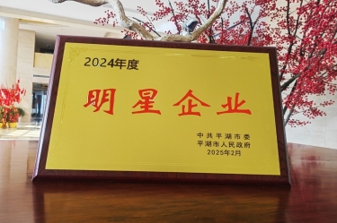 新春新景新气象 | 澳门太阳成城在平湖三干大会上喜摘荣誉！