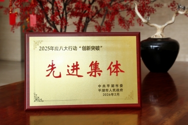 策马扬鞭启新程！澳门太阳成城在平湖市三级干部大会上荣获“创新突破”双项荣誉